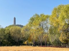 -北坞公园