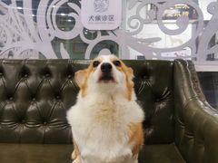 -美联众合动物医院(唯恩分院)