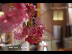 大堂-九井澤精致料理(金茂店)