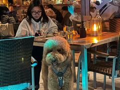 -THE CANNERY&JUJU 新鲜海鲜·牛排美食酒廊