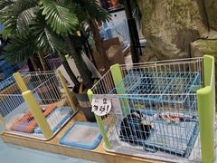 -龟与熊猫宠物公园(南坪店)