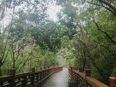 -紫金山山顶公园