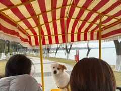-阳澄湖费尔蒙酒店