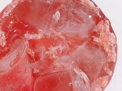 -田老师红烧肉(通州果园物美档口店)