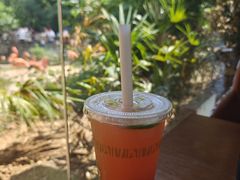 -ZOO COFFEE动物园咖啡(红山森林动物园店)