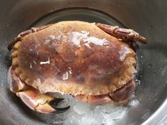 面包蟹-盒马鲜生(曜一城店)