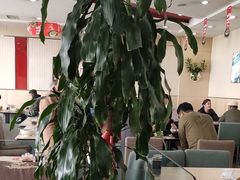 -李先生牛肉面大王(营口大润发店)