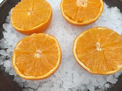 -鱼痴渔醉·食鲜集(青山江滩店)