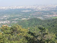 -鬼笑石后山停车场