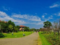 -上海海湾国家森林公园