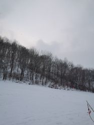 -大秃顶子山
