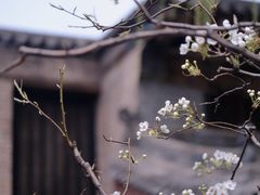 -乔家大院文化园区