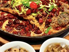 -老板恋上鱼(高新万达店)