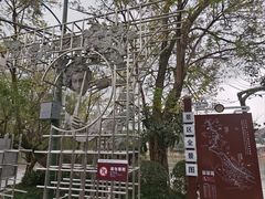-平乐古镇