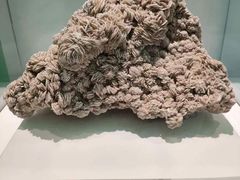 -金钉子远古世界景区