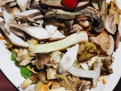 -野菌皇海景野生菌火锅(滨海大道店)
