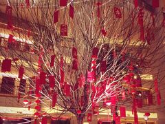 -上海大酒店(南京东路店)