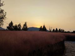 -羊亭河湿地公园