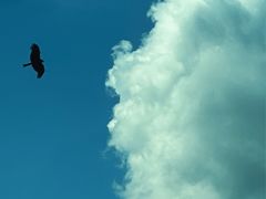 -新疆那拉提国家旅游度假区