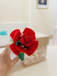 -玛丽亚妇产医院