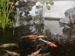 -道南書院·私房菜·早午茶·茶馆