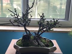 -陶然亭公园