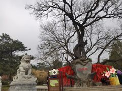 -八大处公园