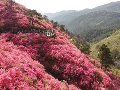 -木兰云雾山