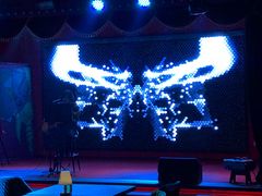 -疯克大象美式烤肉餐厅