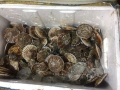 -南京众彩农副产品配送有限公司