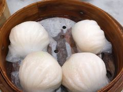 虾饺-华峰食馆(氹仔店)