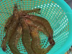 鲜虾-濠轩阁特色生蚝火锅(水湾路店)