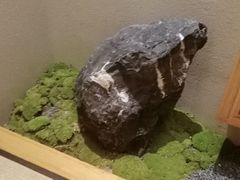 -月龍吟(朝龙汇店)