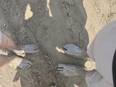 -启东黄金海滩景区