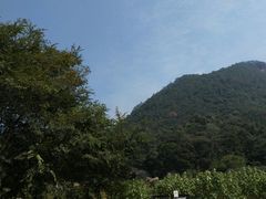 -广州市石门国家森林公园