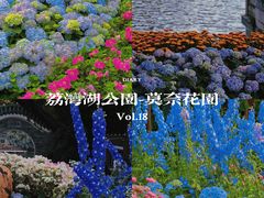-荔湾湖公园