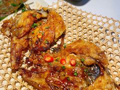 -京城·森鸽排档(双井店)