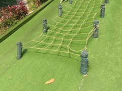 -青青世界