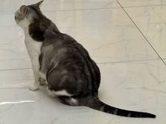 -谜盒子奇幻密室(南屏店)