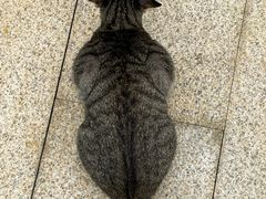 -万达广场(南宁青秀店)