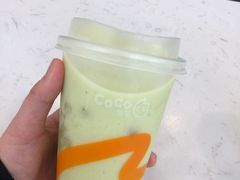 -CoCo都可(宁晋天一广场店)