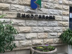 -成都蓝城悦杏温泉美食酒店(宽窄巷子店)