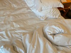 -上海浦东康桥绿地假日酒店