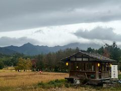 -塔川景区