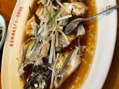 翘嘴鲌鱼-丹江渔村(望京店)