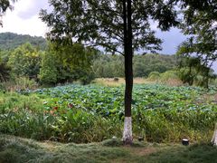 -东钱湖旅游度假区