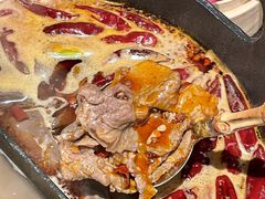 -大龙燚·旷野鲜火锅(广州首店)