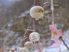 -黑龙潭风景区