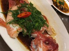 -新世纪大酒楼·30年南海菜