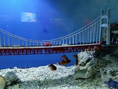 -太平洋海底世界